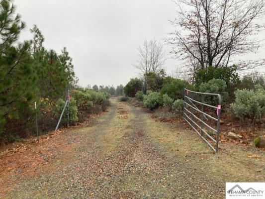 18155 PATTERSON RANCH ROAD, ROUND MOUNTAIN, CA 96084 - Image 1